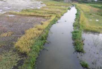 মরে যাচ্ছে পঞ্চগড়ের নদী